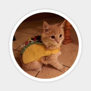 TacoCat Magnet